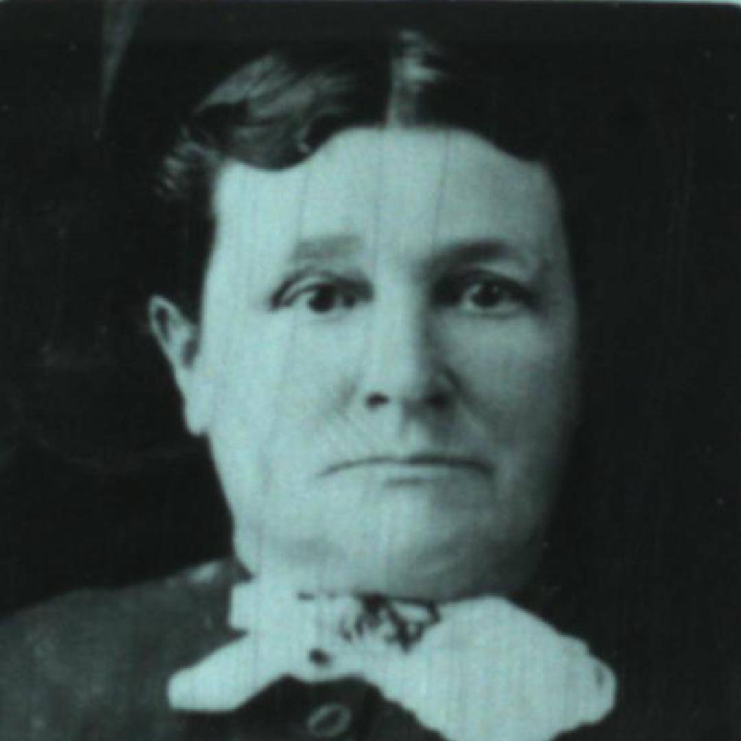 Sarah Matilda Marchant (1841 - 1911) Profile